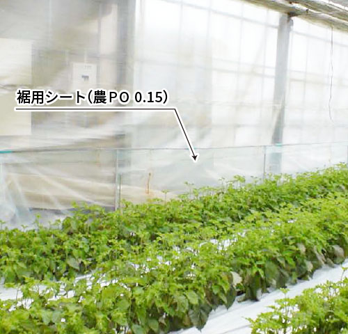 保温性能差异(热成像)