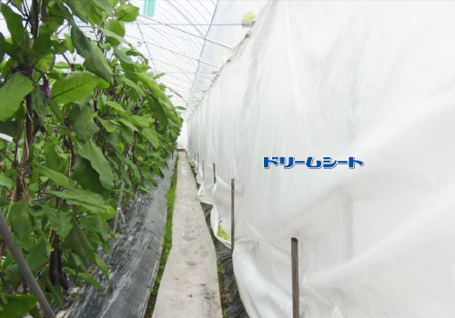 节能效果