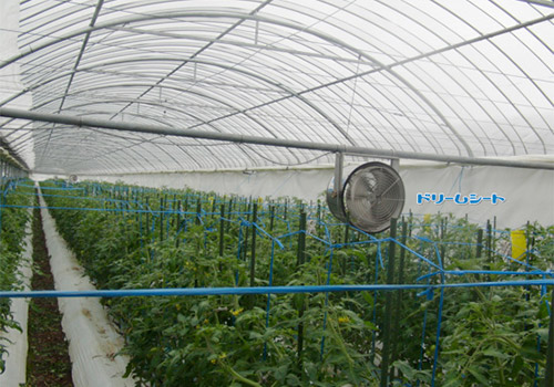 梦想表覆盖状态(番茄)