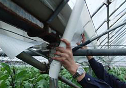 温室栽培装置示例（[谷]茄子）